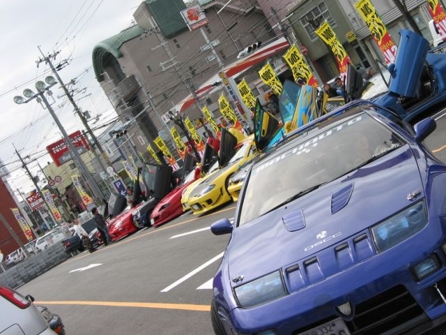 gull-kan-002